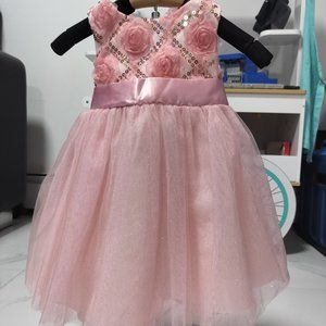 Selling a used Rare Editions Pink Pastel Rose Dress in Size 12M